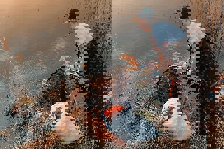 Sandbanks Paddleboarders Rescue Rare Turtle Trapped in Marina Debris