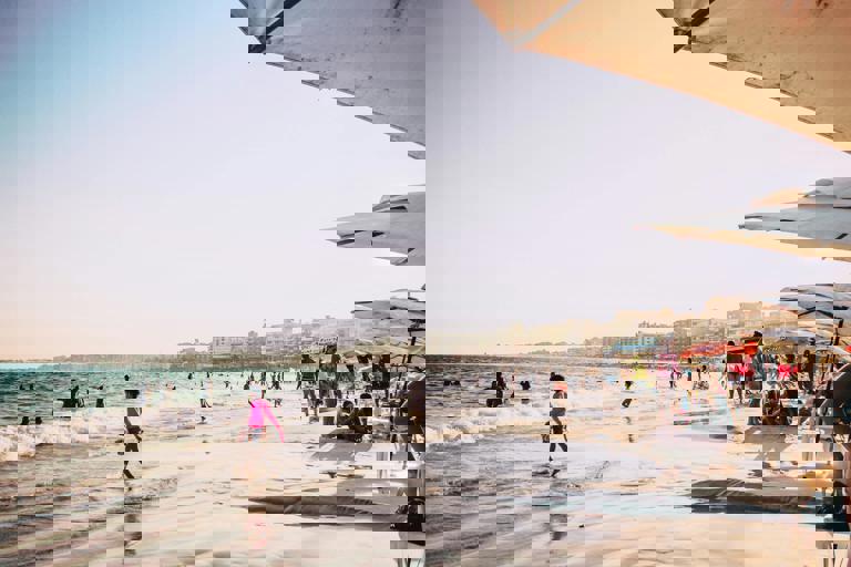 Pop-Up Sandbanks Book Swap Draws Literary Enthusiasts to Seaside Shelter